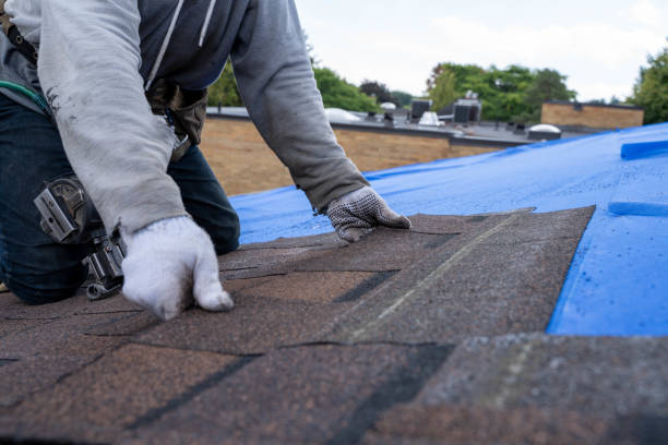 Best Flat Roof Repair Services  in Canyon, TX